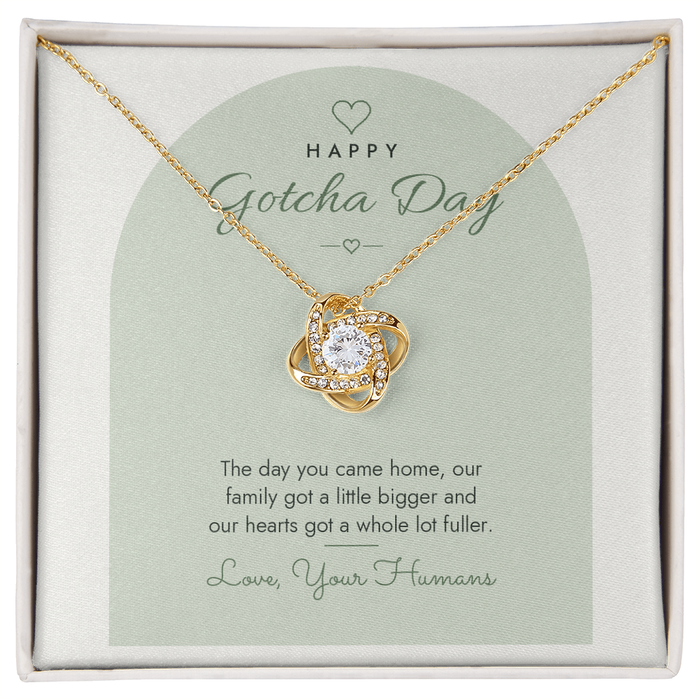 Gotcha Day Love Knot Necklace for Pet Lover – Modern Card