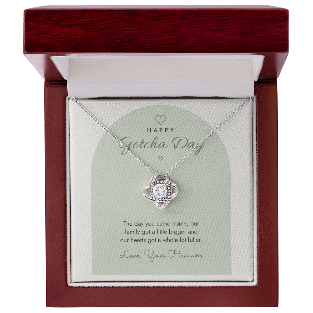 Gotcha Day Love Knot Necklace for Pet Lover – Modern Card
